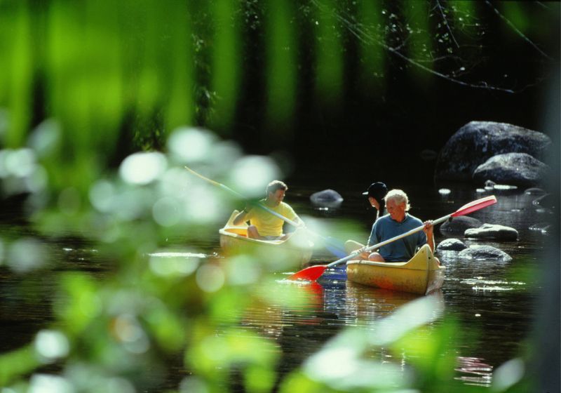 The Ultimate Daintree Rainforest Road Trip: Natural Wonders, Wildlife & Eco-Luxury Escapes
