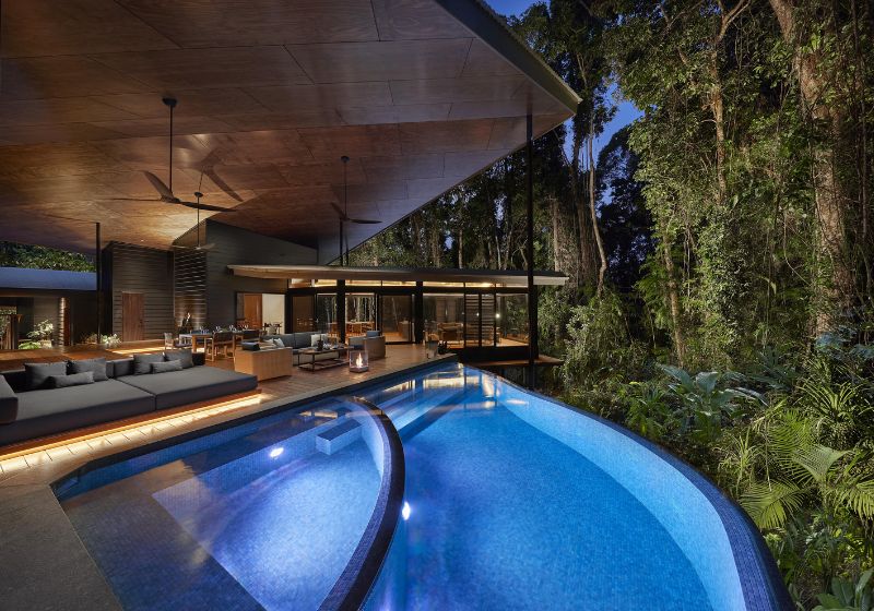 The Ultimate Daintree Rainforest Road Trip: Natural Wonders, Wildlife & Eco-Luxury Escapes