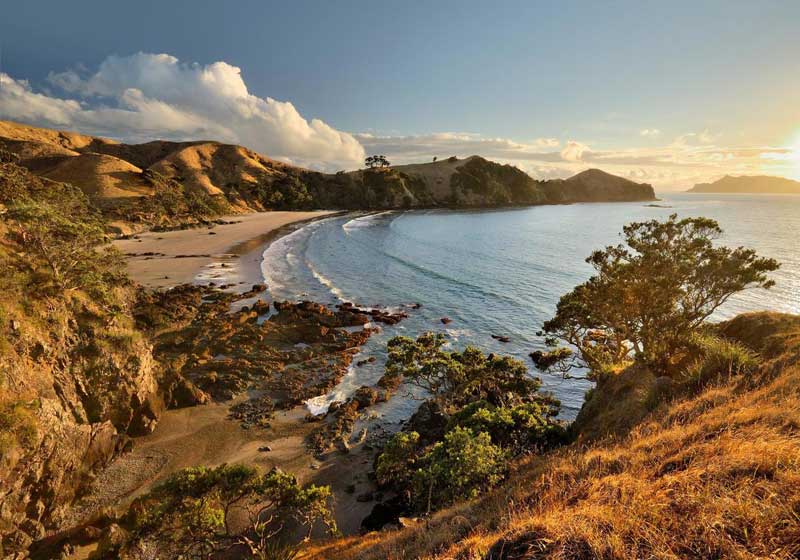 Off-grid Great Barrier Island: Shaped by Land, Sea and Soul