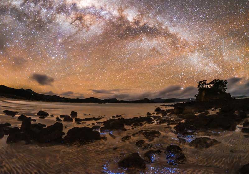 Off-grid Great Barrier Island: Shaped by Land, Sea and Soul