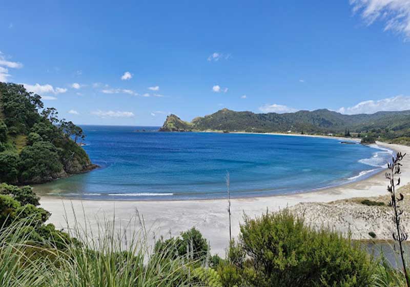 Off-grid Great Barrier Island: Shaped by Land, Sea and Soul