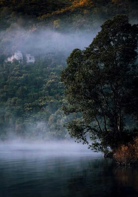 Aotearoa: A Land Where the Earth Breathes with Primal Energy