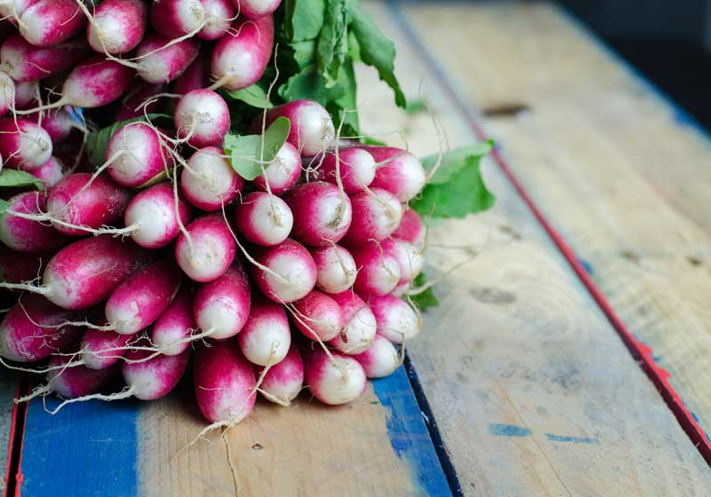 What to Plant for Spring