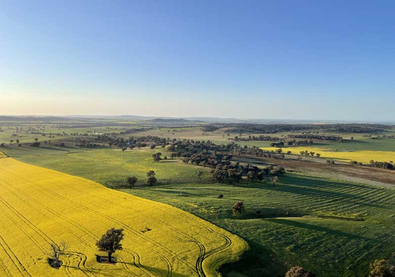 7 Blooming Spring Events in Central NSW