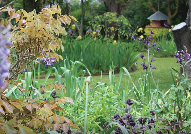 7 Blooming Spring Events in Central NSW