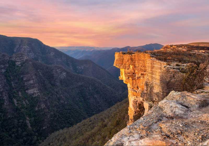 7 Blooming Spring Events in Central NSW