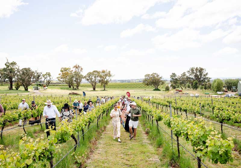 7 Blooming Spring Events in Central NSW