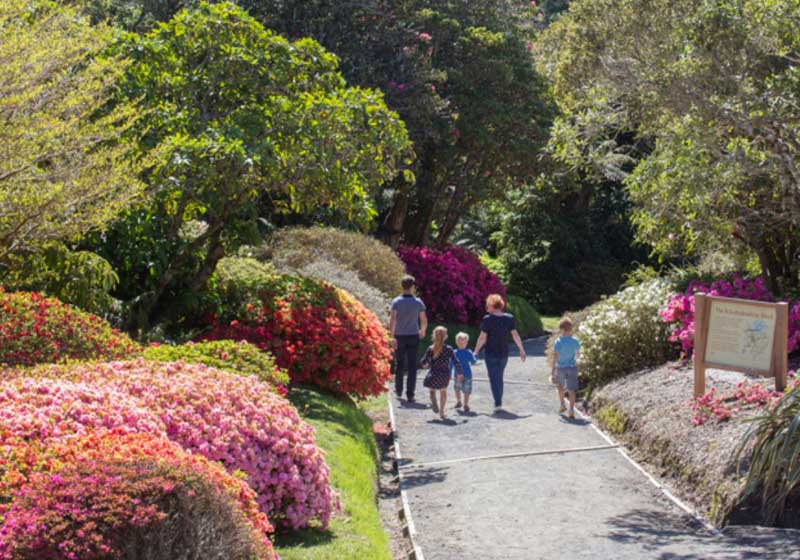 Blooming in Beauty: The 2025 Taranaki Garden Festival