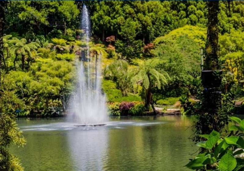 Blooming in Beauty: The 2025 Taranaki Garden Festival