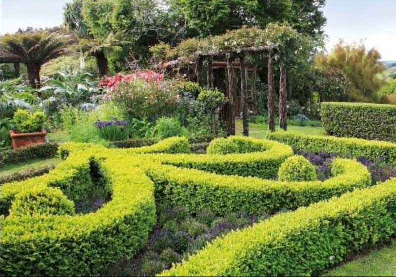 Blooming in Beauty: The 2025 Taranaki Garden Festival