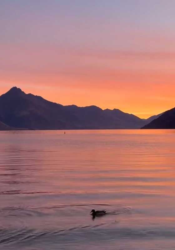 Discover the Magic of Spring and Summer in Queenstown