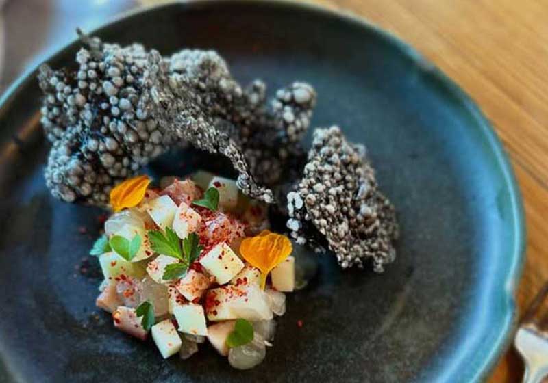 Discover Australia’s Best Vineyard Dining: 5 Chef Hat Award-Winning Restaurants to Uncork