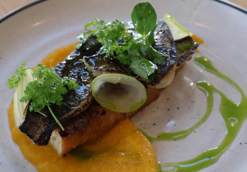 Discover Australia’s Best Vineyard Dining: 5 Chef Hat Award-Winning Restaurants to Uncork