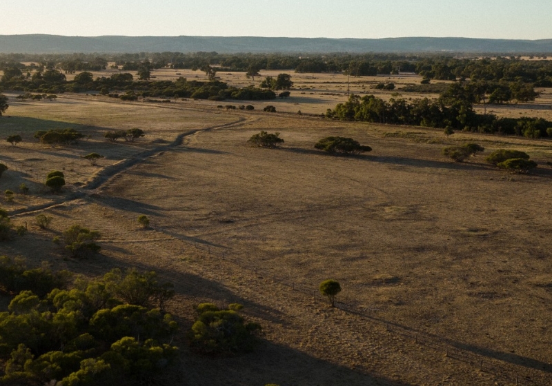 A Masterclass in Sustainable, Farm-to-Table Luxury
