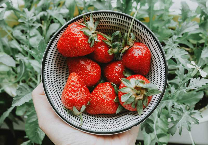 The Spring Fling Menu: Spotlighting the Season’s Freshest Produce
