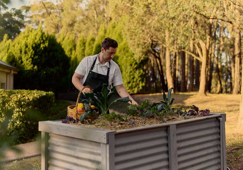 How Australia’s Top Chefs Are Using Spring’s Fresh Produce