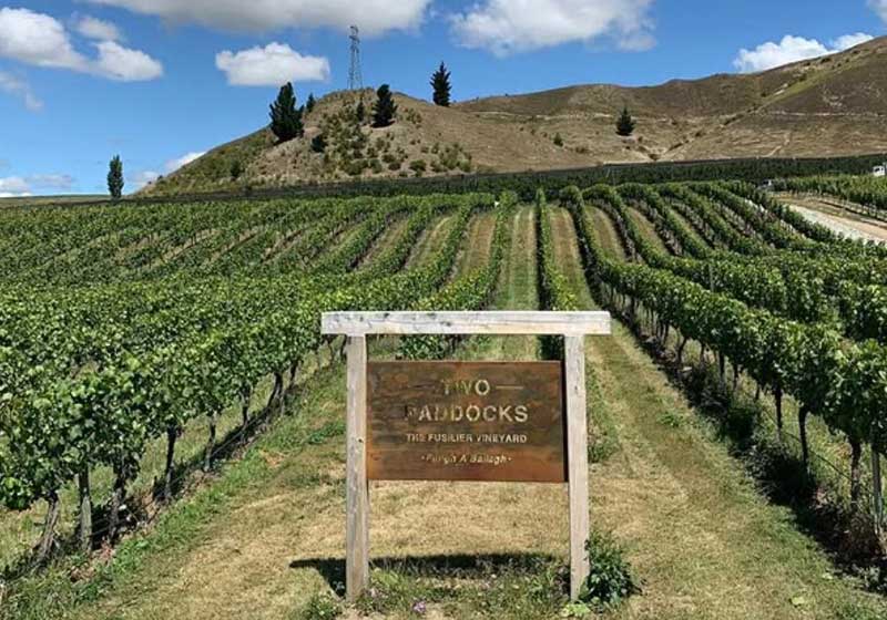 Sam Neill’s Two Paddocks: Organic Central Otago Pinot Noir & Riesling Crafted with Heart