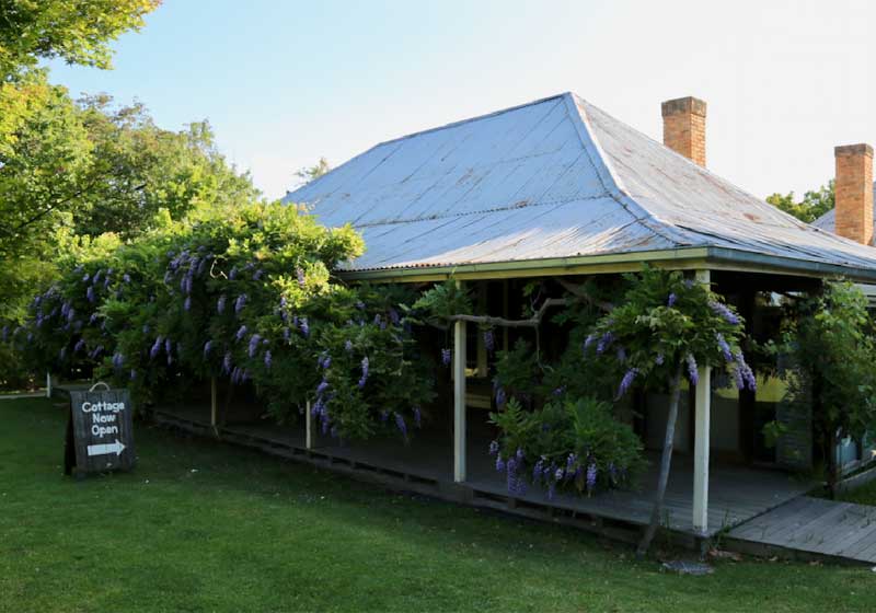 Top Melbourne Chef Zac Poulier Joins Sages Cottage to Train People with Disabilities for Hospitality Careers