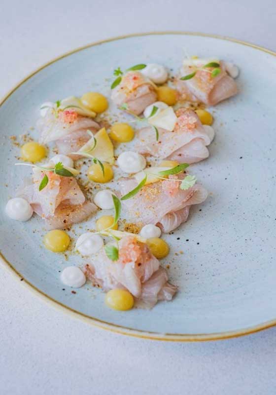 Ceviche v Crudo: A Tale of Two Seas