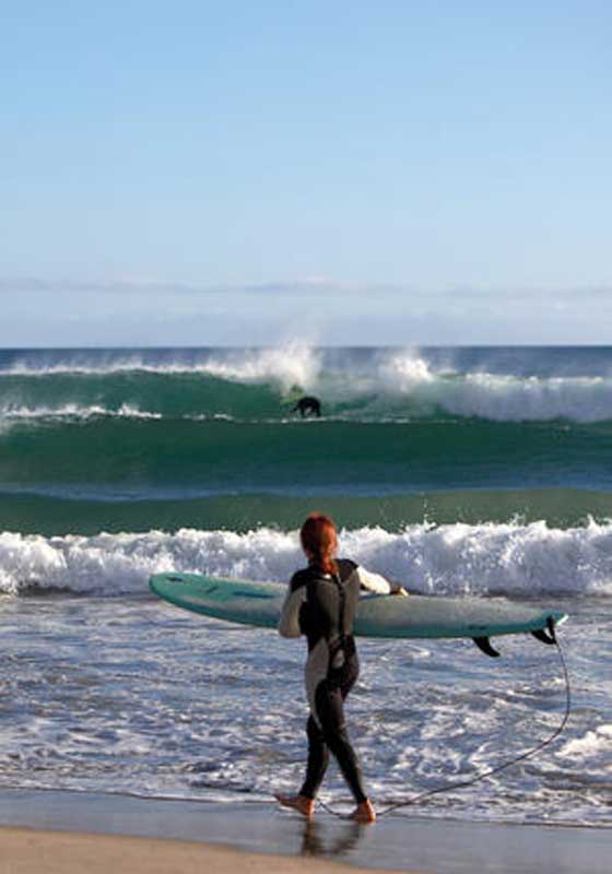 Tauranga & Mount Maunganui: NZ’s Gold Coast Paradise of Beaches, Surf & Sunshine