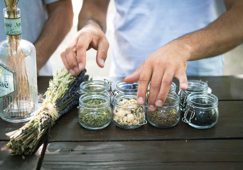 The Botanist’s Pantry: Herbs and Spices That Blur the Line
