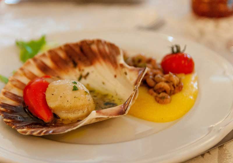 New Zealand Scallops: Nature’s Golden Treasure