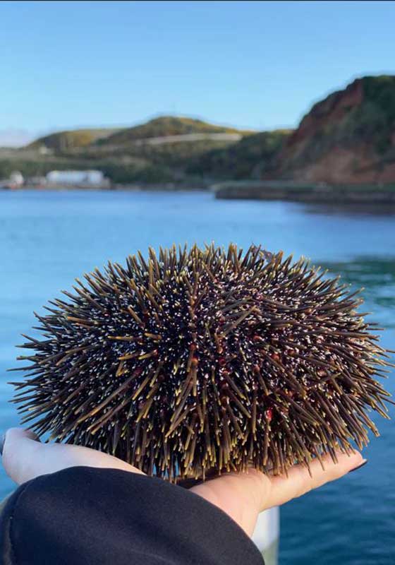 Taste the Ocean with Aotearoa’s Little-known Sea Treasures
