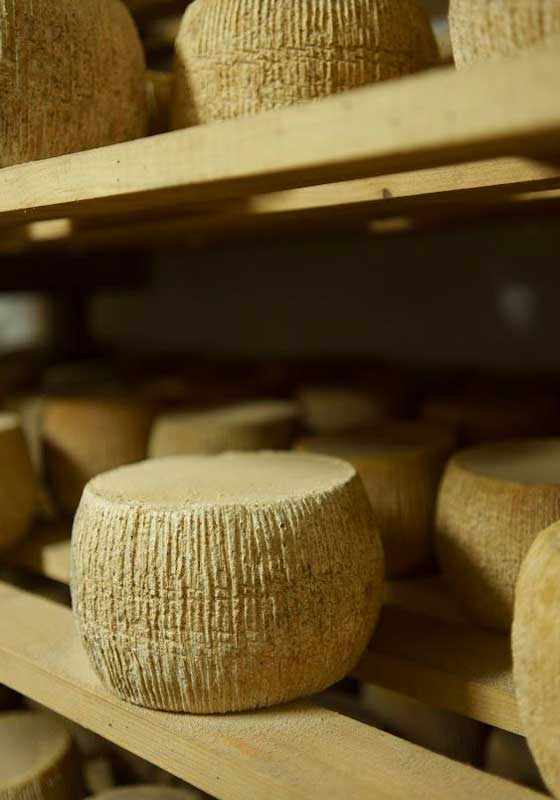 Say Cheese! Meet Culture Creator Simone for a Vera Italia Experience