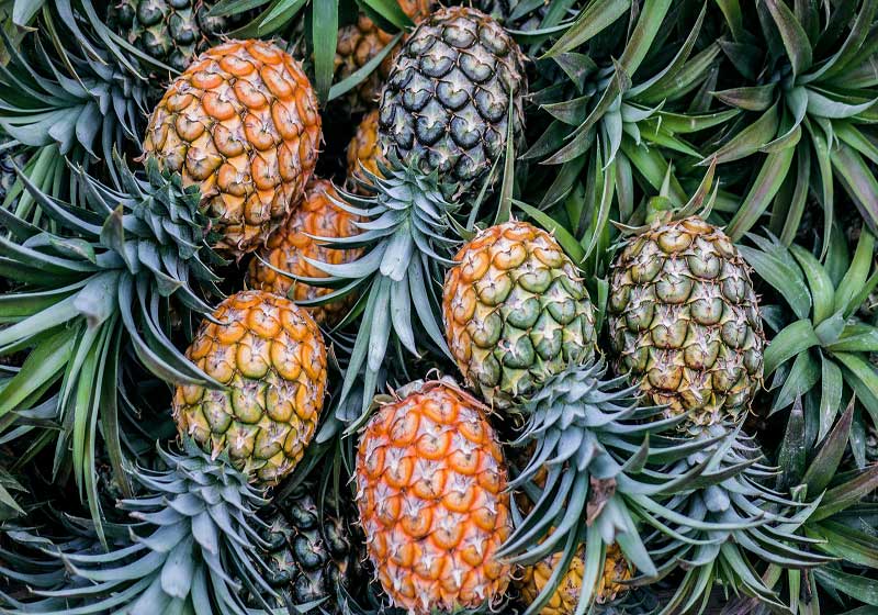 Fresh and In Season + 3 Recipes