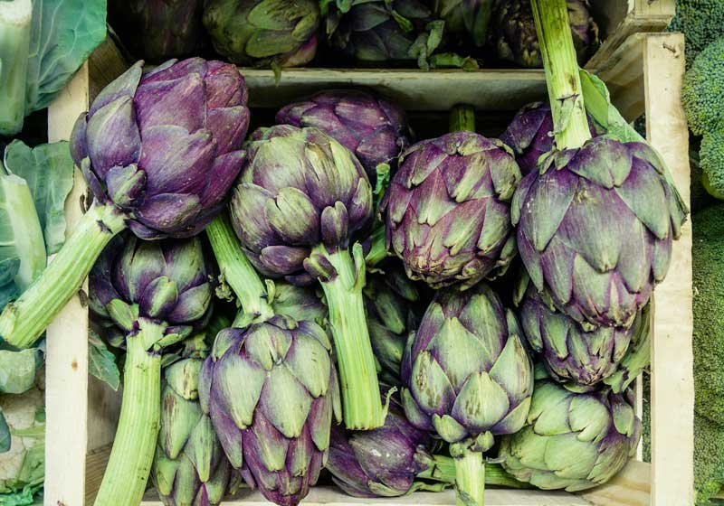 Fresh and In Season + 3 Recipes