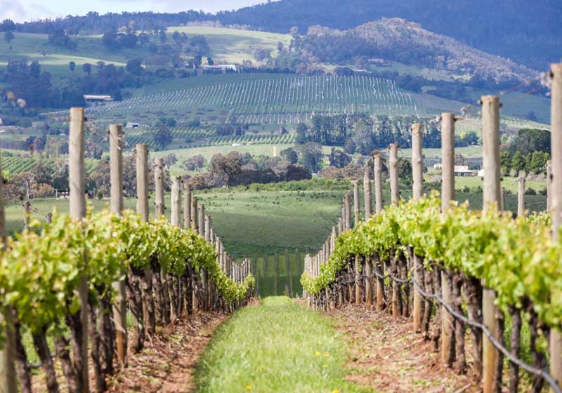 Four Regional NSW Road Trips You Can Take This Weekend + What You Can Eat on the Way