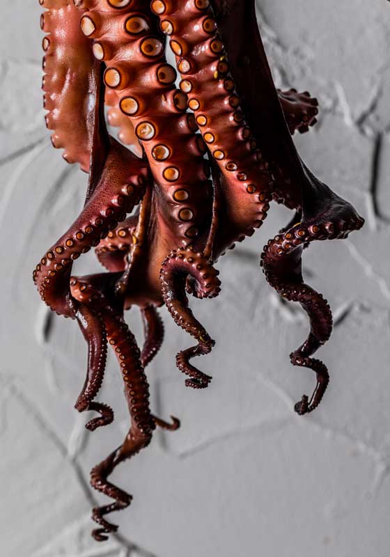 Ragazzi Wine + Pasta Invites You to Dinner Under the Tuscan Sun In Sydney