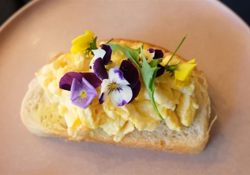 Sydney's Culinary Hotspots: A Taste of Diverse Dining Experiences