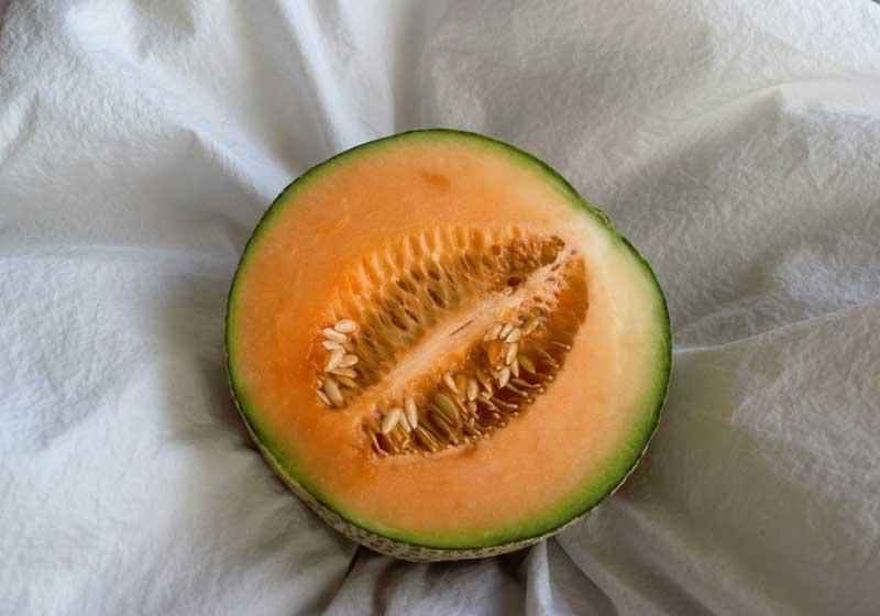Fresh and In Season + 3 Recipes