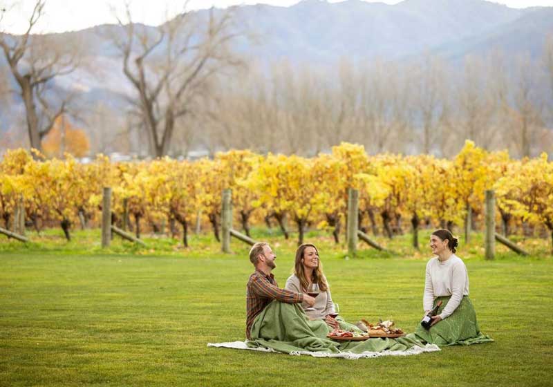 Marlborough – Where the Land Pours Poetry into Every Glass