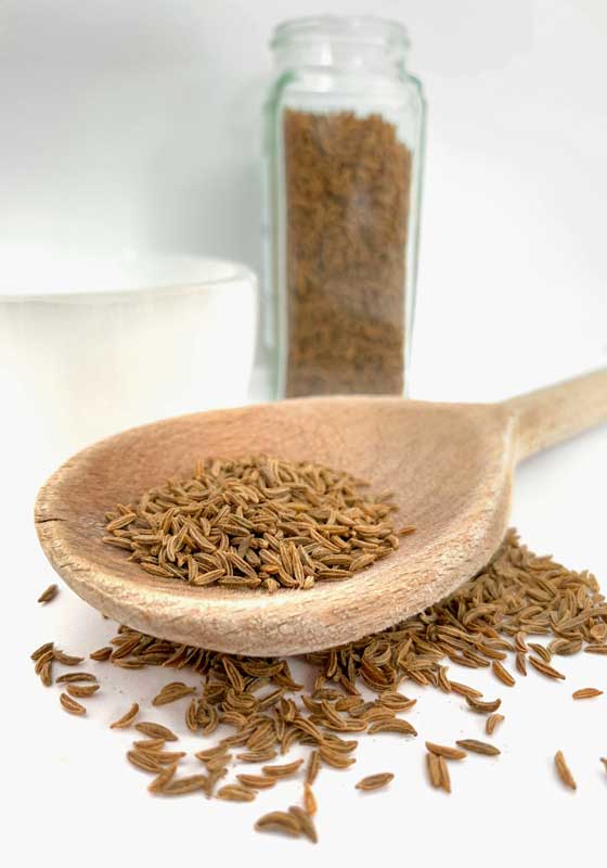 The Spice is Nice…Go Beyond the Burn with these Spring Seasonings + Recipes