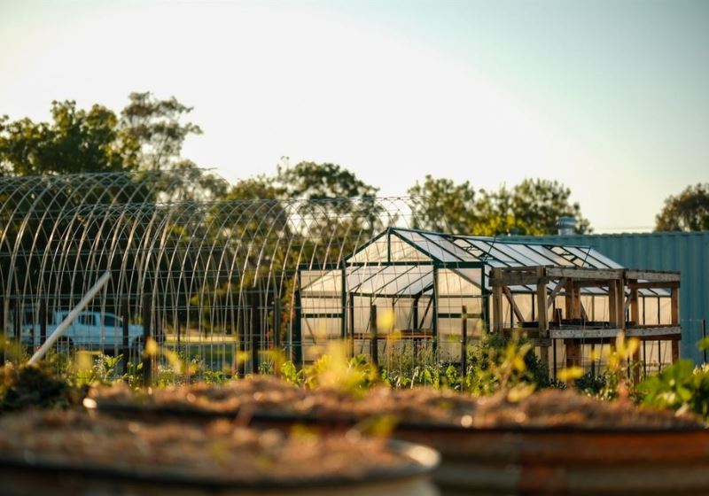 From Farm To Fork: Savour Australia's Paddock To Plate Experience