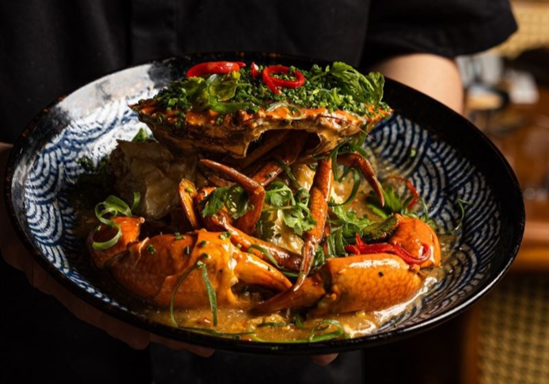 Returning to Culinary Gems: Restaurants That Get Better Every Visit