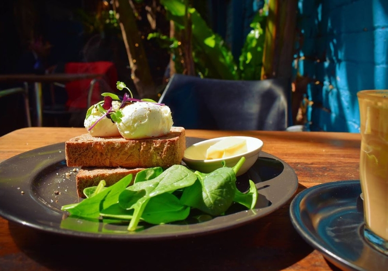 Top Culinary Destinations to Explore in Sydney