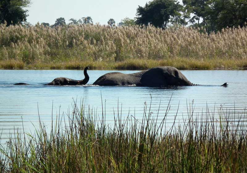 Natural Wonders of Africa: A Continent of Untamed Beauty