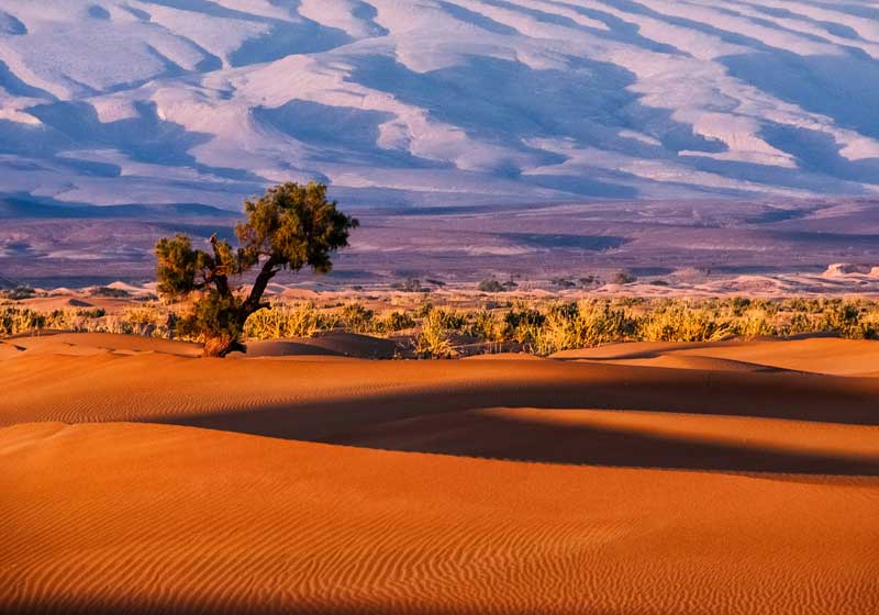 Natural Wonders of Africa: A Continent of Untamed Beauty