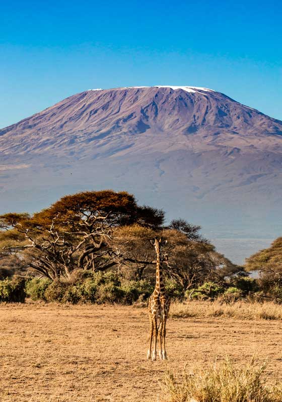 Natural Wonders of Africa: A Continent of Untamed Beauty