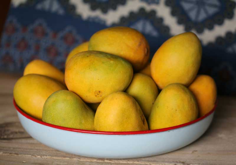 Fresh and In Season: Mangoes + 3 Recipes