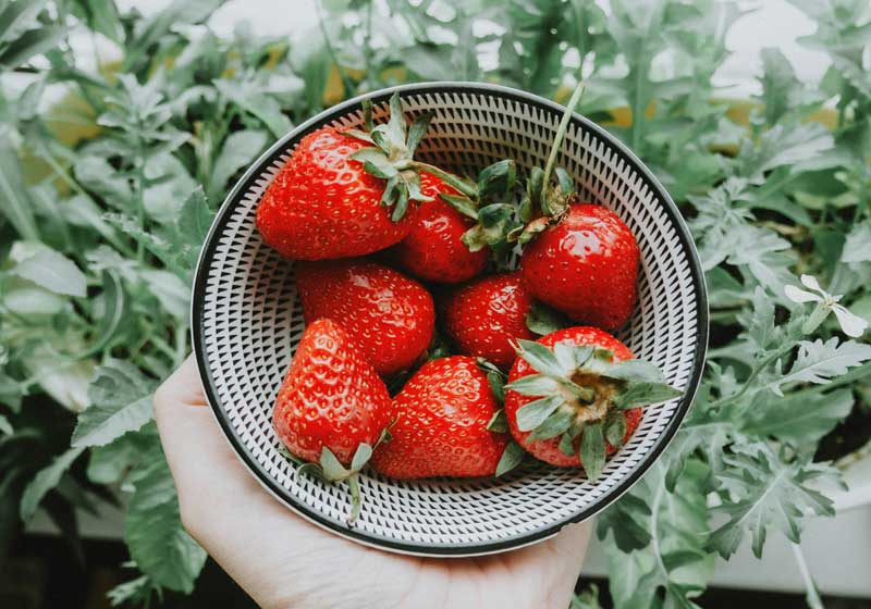 Fresh and In Season: Strawberries + 3 Recipes