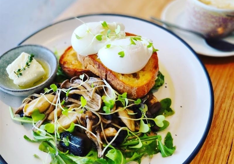 The Best Restaurants for When the Plan Is ‘No Plan’