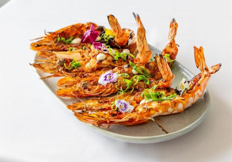 Sydney's Culinary Gems: A Tour of Unmissable Dining Experiences