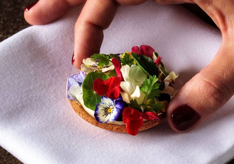 Culinary Delights: Discover South Australia's Best Dining Venues