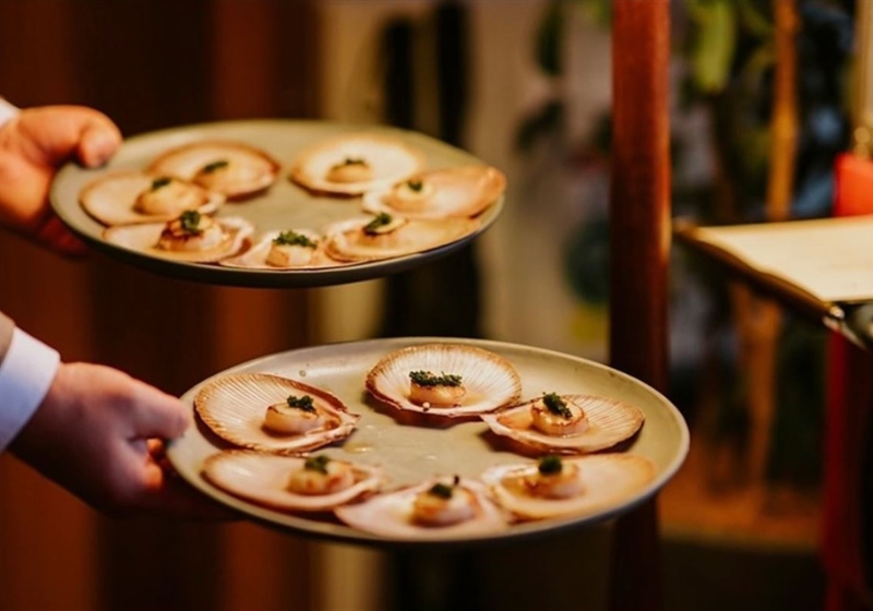 Chic Culinary Retreats: Top Spots for Stylish Dining & Drinks