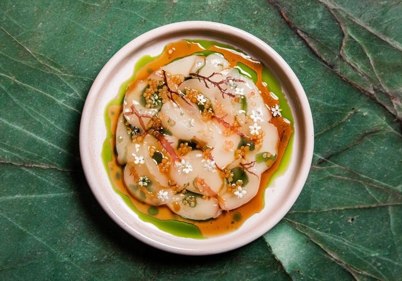 Indulge in Modern Menus and Stylish Settings: A Culinary Journey Through Australia