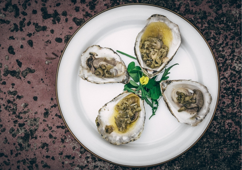 Indulge in Irresistible Flavours: A Journey Through Culinary Delights